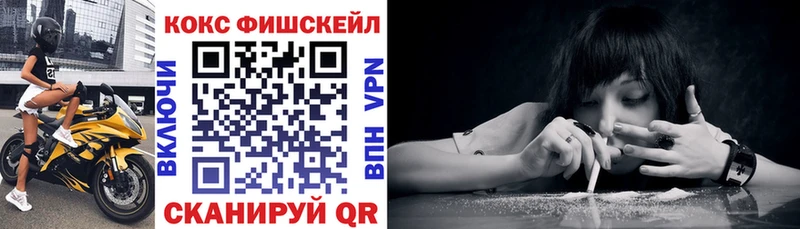 Купить где  Болгар  COCAIN 97% 