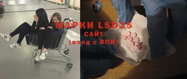 ГАЛЛЮЦИНОГЕННЫЕ ГРИБЫ Верея