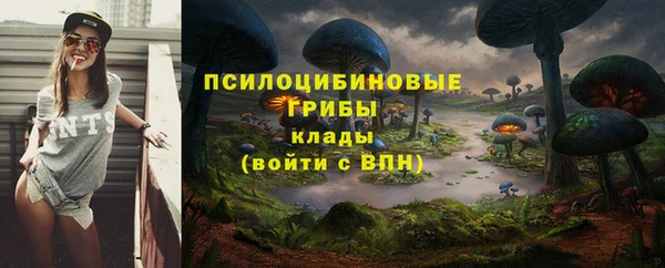 бошки Волоколамск
