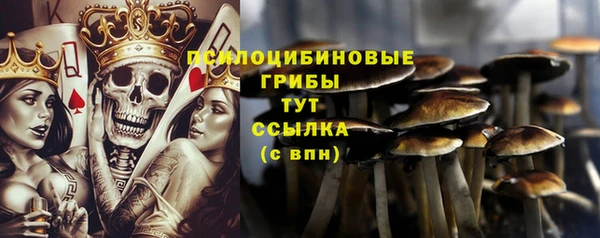 jwh Верхний Тагил